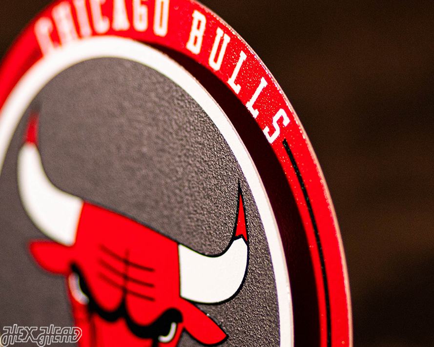 Chicago Bulls "Double Play" On the Shelf or on the Wall Art