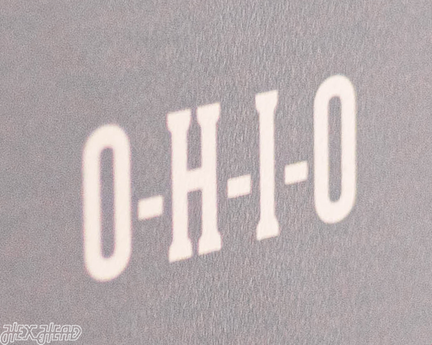 Ohio State Buckeyes Personalized Monogram Metal Art