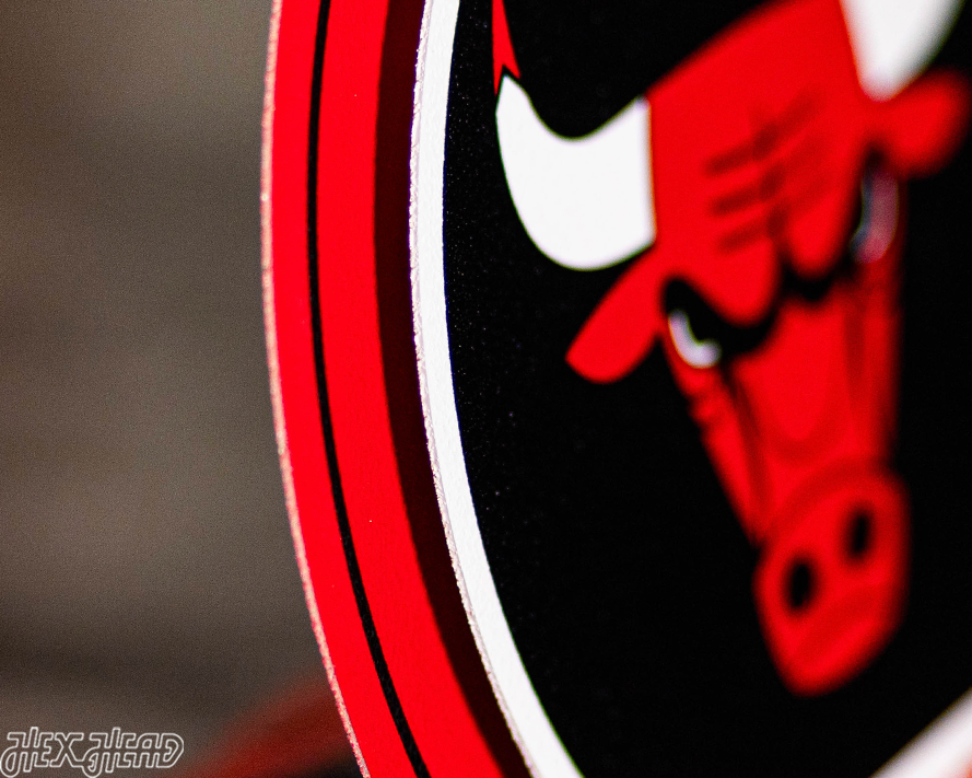 Chicago Bulls "Double Play" On the Shelf or on the Wall Art