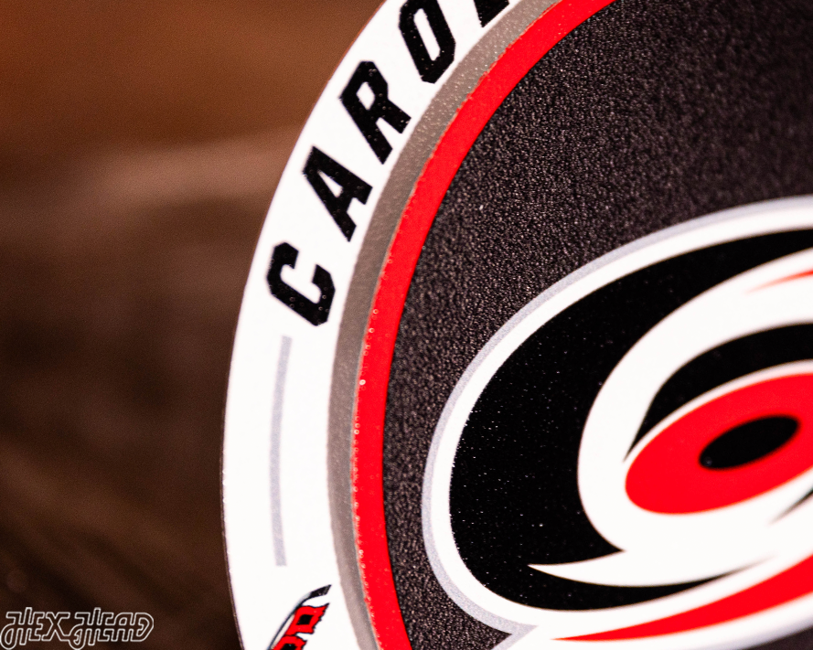 Carolina Hurricanes "Double Play" On the Shelf or on the Wall Art