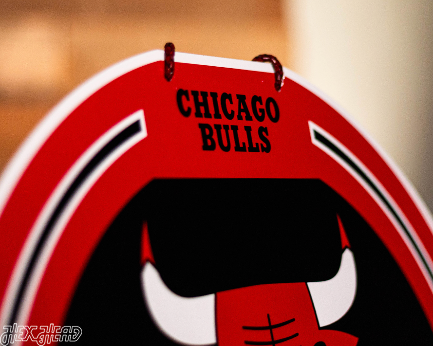 Chicago Bulls Personalized Monogram Metal Art