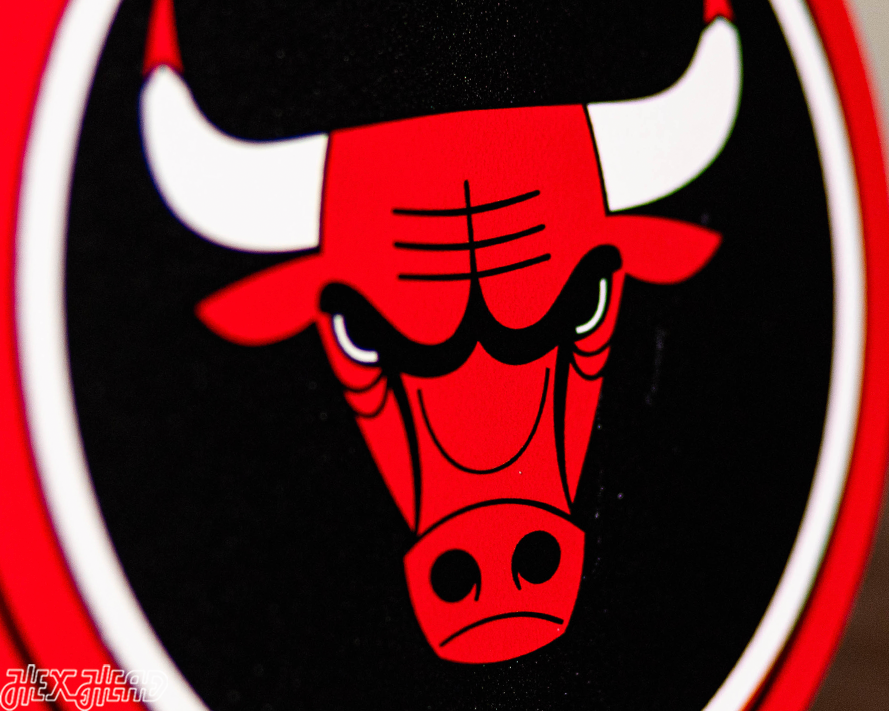 Chicago Bulls "Double Play" On the Shelf or on the Wall Art