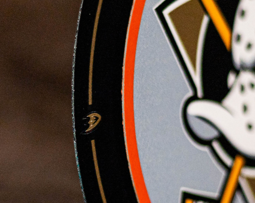 Anaheim Ducks "Double Play" On the Shelf or on the Wall Art